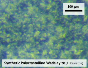Polycrystalline wadsleyite (e.g. Kawazoe et al., 2010 JGR)